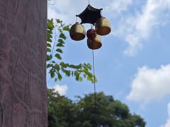 -广州白江湖森林公园