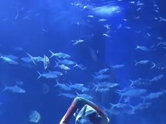 -多彩贵州城极地海洋世界