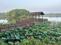 -上海市保健医疗中心