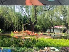 -辛玛王国游乐园