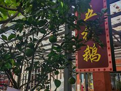 -大眼强五杯鹅饭店