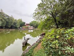 -榴花公园