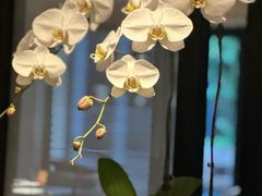 -湖滨客舍·湖北菜