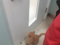 -宠福鑫康馨动物医院·骨科·眼科