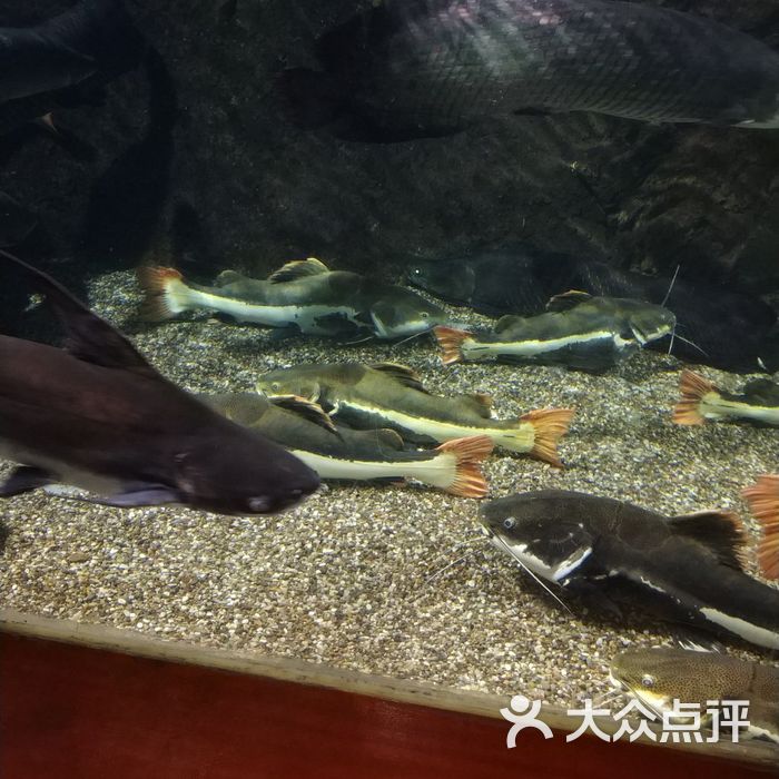 太平洋海底世界餐厅