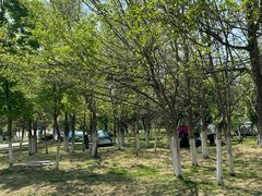-莫子山公园