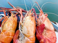 -七的湖·江南蟹舫·阳澄湖农家菜(蟹舫苑店)