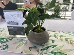 -泰州之星奔驰4S店(海陵店)