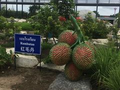 -东芭乐园
