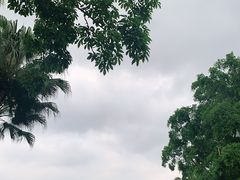 -观澜湖生态运动公社