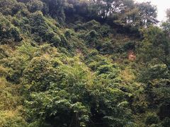 -抱龙峪