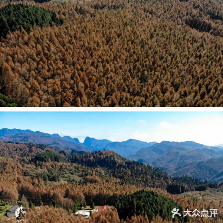 重庆旅游攻略——山王坪,一条路分割夏与秋