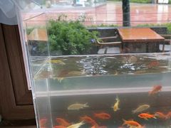-甘尼仕印度餐厅爵士酒吧(阳春巷店)