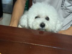 -乖乖宠物医院·猫科·骨科·24小时(云岗分院)