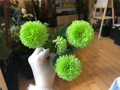 -森野花艺培训·企业团建活动沙龙