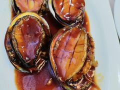 浇汁大鲍鱼-来之顺海鲜菜馆·青岛菜(栈桥店)