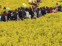 -三圣花乡旅游区