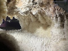 -湖南省地质博物馆