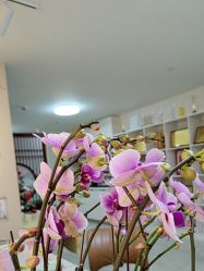 -产后帮产后修复(首城国际店)