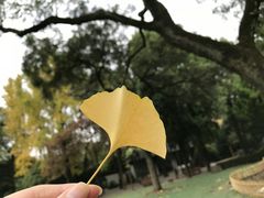 -汇龙潭