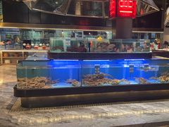 -阿伟海鲜楼·福建菜(延寿店)