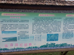 android_upload_pic-北海金海湾红树林生态旅游区