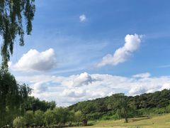 -沈阳森林动物园