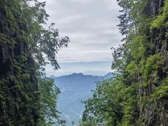 -塔云山