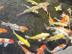 -鸿通城购物中心