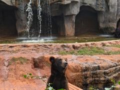 -海南热带野生动植物园