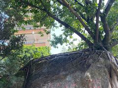 -鹅岭公园瞰胜楼