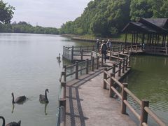 -宁波野生动物园