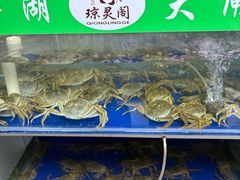 -阳澄湖大闸蟹·琼灵阁牌品牌连锁(吴中总店)