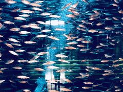 -骑仕租车(三亚凤凰机场店)