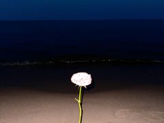 -CGWANG王氏教育(上海校区)