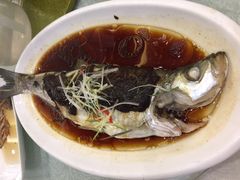 -农家大院