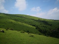 -大姆山草场