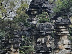 -南山植物园