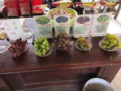 -马陆小张葡萄园农家乐