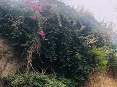 -生态苑农庄(十里画廊遇龙河店)