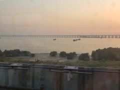 -宝安西湾红树林湿地公园