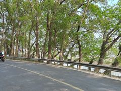 -上海佘山国家森林公园天马山园