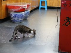 -方林富炒货店(武林路店)
