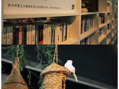 -莫子山公园