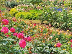 -人民公园(罗湖区)