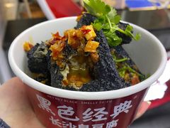 -黑色经典臭豆腐·湖南特产(坡子街店)