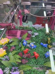 -万达宝贝王(绵阳CBD店)