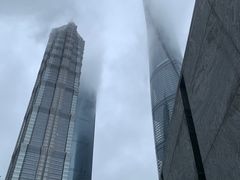 -上海柏悦酒店·世纪100牛排馆
