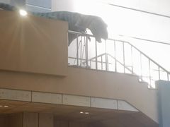 -诸城市恐龙博物馆