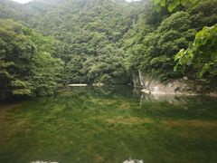 -龙湾潭国家森林公园